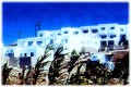 San Antonio Summerland Mykonos Hotel